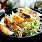 Grilled Shrimp Gyoza