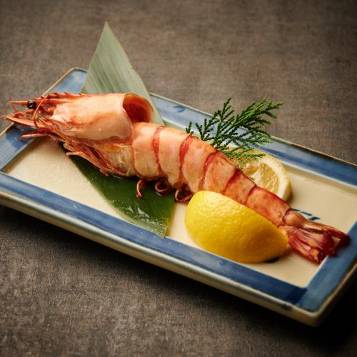Extra large shrimp