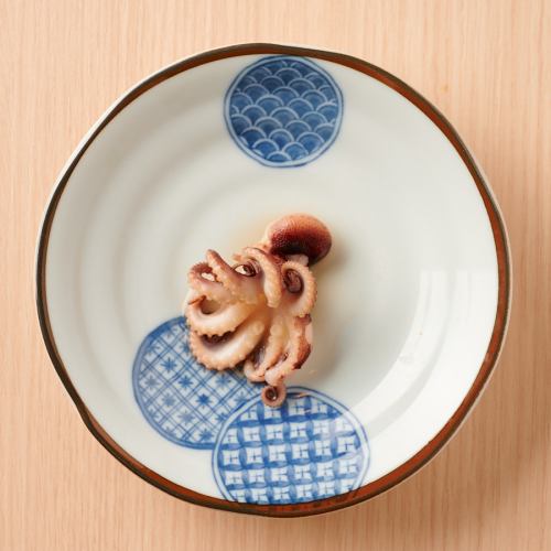 Octopus