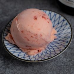 Seasonal Sorbet