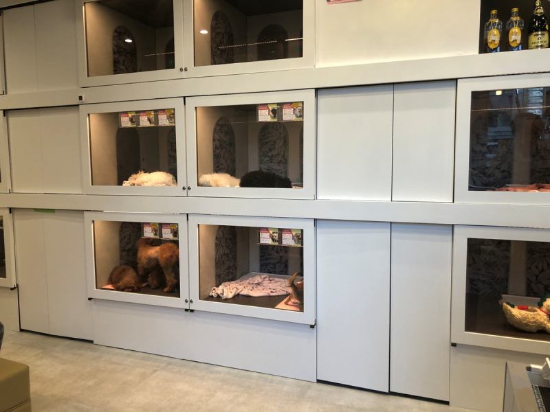 お買い物や急なご用事の際に、1時間からワンちゃんをお預かりいたします。ご家族のご希望に合わせて、ANDogの犬たちと一緒にドッグランで遊ぶなど、楽しみながら社会性を育むスタイルもご提案。安心してお任せいただける環境を整えておりますので、お気軽にご相談ください。