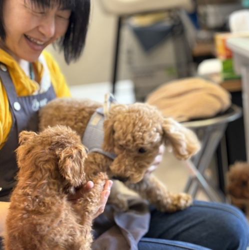 心和む至福のひととき