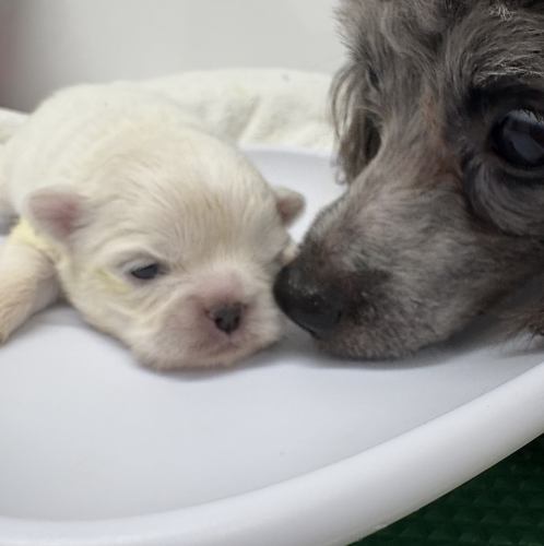 癒しの空間..☆