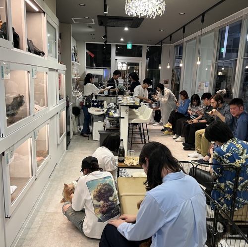 わんちゃんに会える★癒しと笑顔があふれる空間♪