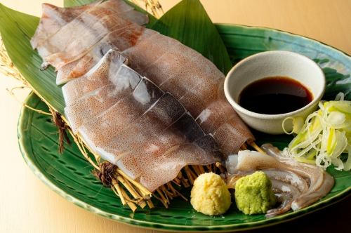 するめイカ姿刺し