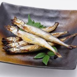 5條帶籽的柳葉魚