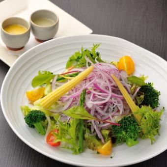 Various vegetable salad (mustard-flavored dressing)