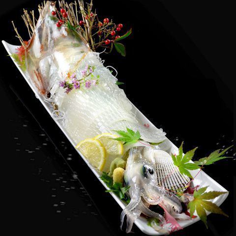 Live squid sashimi (extra large)