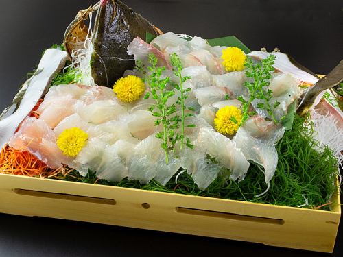 Whole flounder sashimi box (approximately 3 servings)