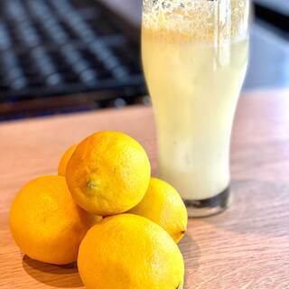 圧倒的なフレッシュ感！自家製たこ焼きのお供に欠かせない【丸ごと絞ったレモンサワー】