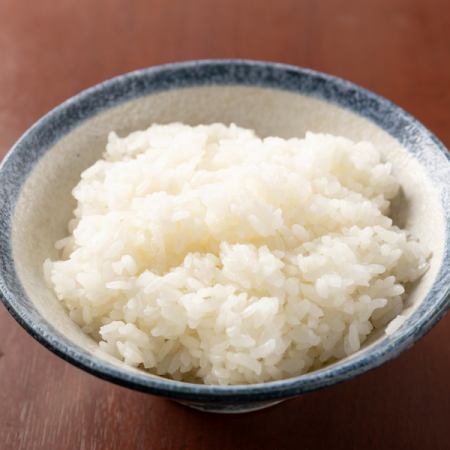 ライス中(250g)