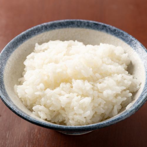 ライス中(250g)