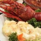 Spiny lobster with mayonnaise