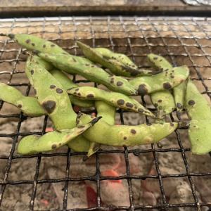 Charcoal-grilled edamame
