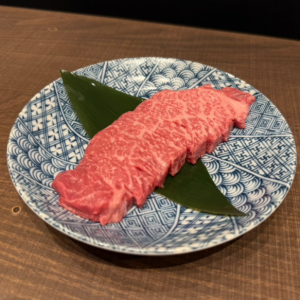 Shinshin/Tortoiseshell/Aitchbone/Lamp