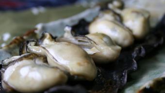 牡蠣の昆布焼き