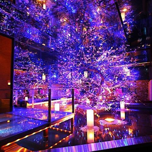 Hospitality in a fantastic, extraordinary space