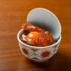 Amazing TKG (large red shrimp)