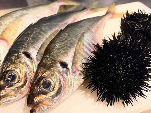 Sea urchin with shell
Horse mackerel is now in stock.
Please enjoy the horse mackerel tataki and namero 🐫

#Fuchu #Izakaya #Sake #Kokusai Street #Rakudaya