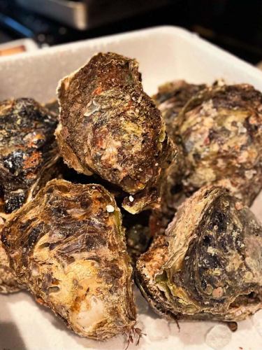 数量限定　300gサイズ
京都　舞鶴産　天然岩牡蠣
入荷しました🦪

静岡御前崎の生しらすも本日のオススメです🐫

#府中 #居酒屋 #府中居酒屋 #日本酒 #国際通り #らくだ屋 #岩牡蠣 #生しらす