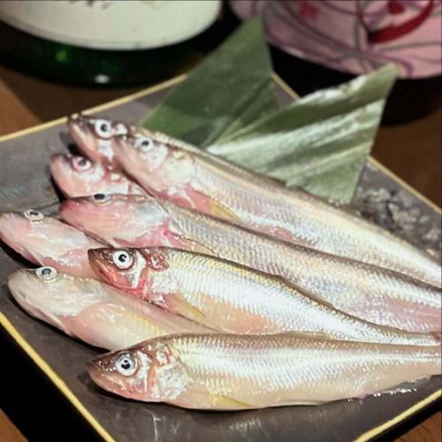 新鲜的北海道什夏莫
数量有限。
请早点来🐪

#府中居酒屋 #清酒 #府中 #居酒屋 #Rakudaya
#Raw Shishamo