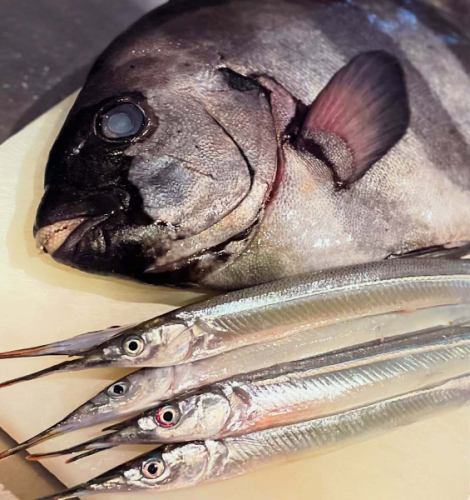 Thank you for your continued support today as well 🐫
I recommend the striped beakfish!
We have plenty of seats available 😊
The rain should stop by tonight, so we'll be waiting for you!
#Fuchu Izakaya #Sake #Fuchu #Izakaya #Rakudaya