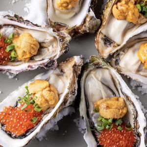 1 Ultimate Raw Oyster