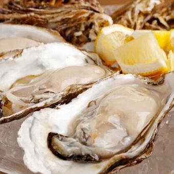 ※平日は最大３時間！※～【飲み放題付】牡蠣を楽しむスタンダードランチ！BELONコース全6品♪～