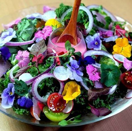 Salad of 22 kinds of farm vegetables and flowers