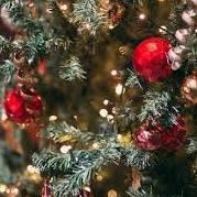 12/24・25 クリスマスプレミアムディナーコース御予約受付中！素敵な大切なディナーに