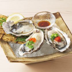 Assortment of 3 kinds of live-caught oysters from New Zealand