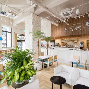 カウンター席は10席と開放的な場所で、料理を楽しむことができます。ゆったりとした時間を過ごすのにぴったりな場所です。