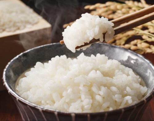 [Large serving of rice ☆ Free refills] Contract farmer direct prize Koshihikari
