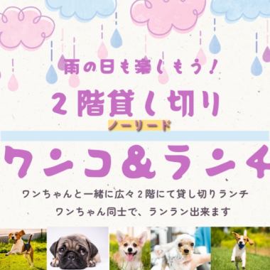 【ご予約のみランチ】忘年会・新年会に♪格安貸切3時間ワンコランチ★4400円(税込)～の10人以上