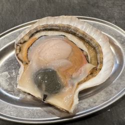 活ホタテ（1枚）