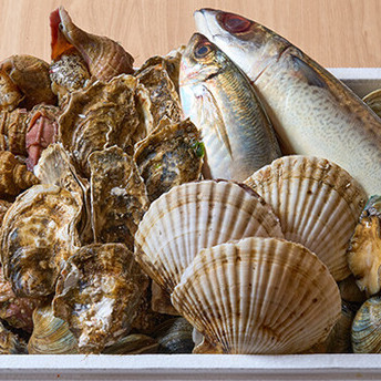 【新橋で海鮮】産地直送の鮮魚と熱々浜焼きをガッツリ堪能！