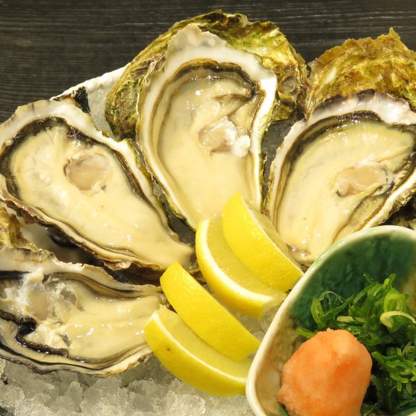 2 raw oysters from the Hiroshima brand "Oyster Komachi"