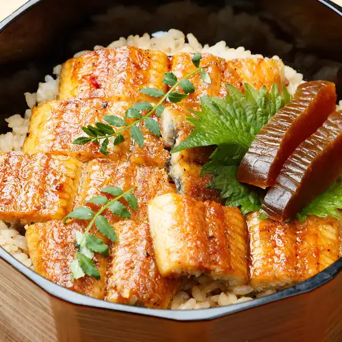 鰻魚蓋飯