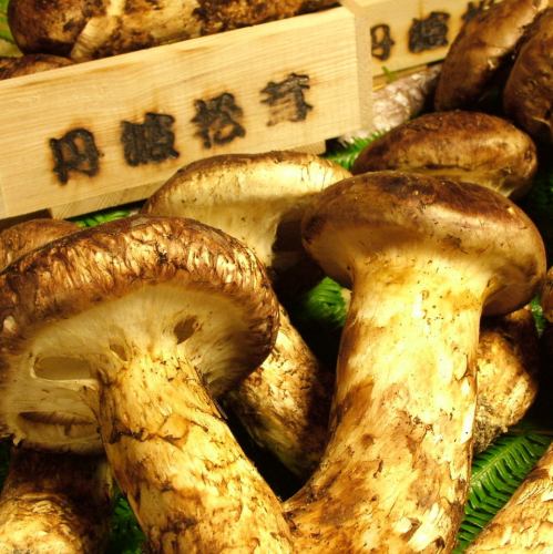 [Seasonal] You can also enjoy Tamba Matsutake mushrooms.