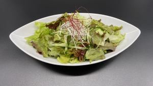 Chooregi Salada