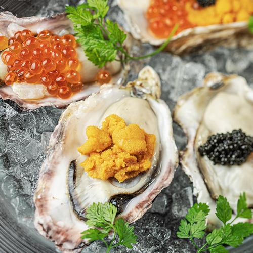 ★Fresh and wide variety of oysters★