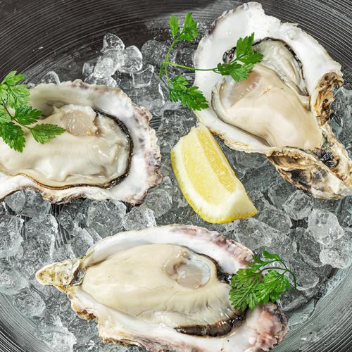 3 types of raw oysters