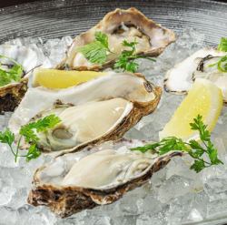 Five kinds of raw oysters