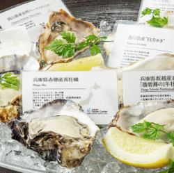 7 kinds of raw oysters