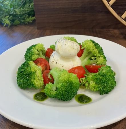 Burrata cheese caprese with pesto sauce