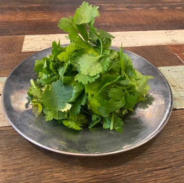 香菜