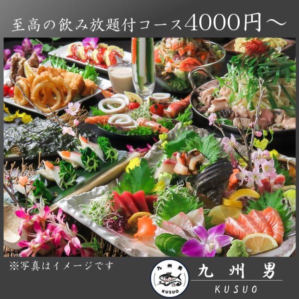 【新鮮魚×豪華套餐】適合各種宴會...! 提供4000日圓/4500日圓/5000日圓套餐。