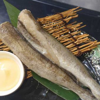 特大コマイ（２尾）