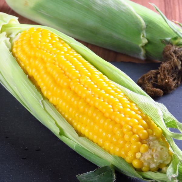 時令食材[玉米]