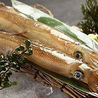 4月の宴　【雅】9品／2時間飲み放題 10,000円（税込）